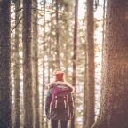 What is Growing Young Adventists?